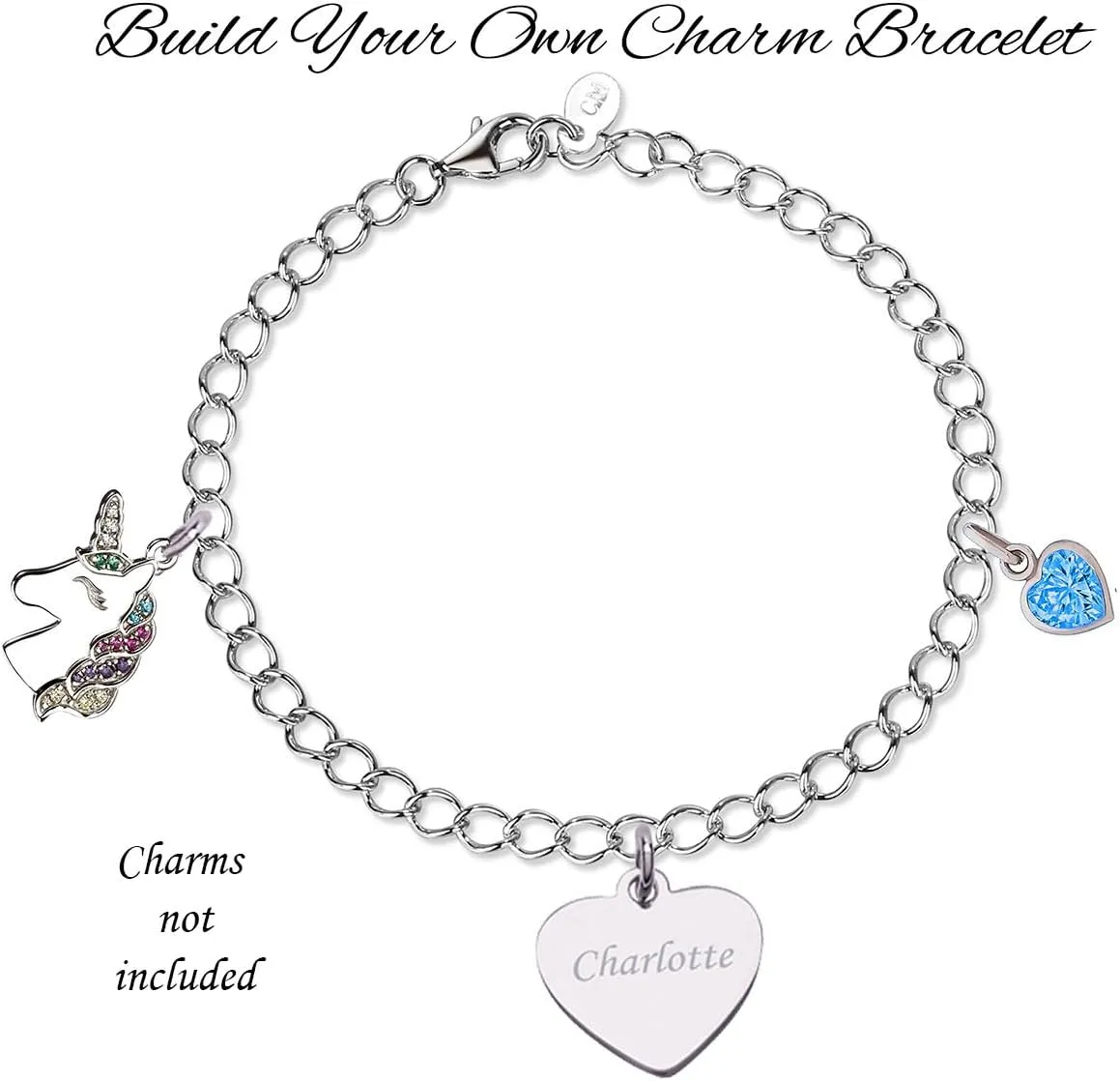Sterling Silver Charm Bracelet with Thin, Dainty, Durable Chain for Adding and Collecting Charms for Little Girls, Teens or Women, Design a Bracelet, Adjustable